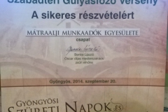 wp-20140922-08-47-15-pro-2