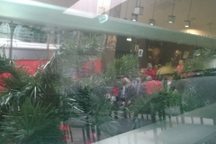 wp-20141217-10-34-24-pro